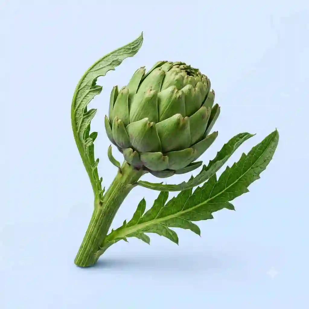 artichoke leaf extract